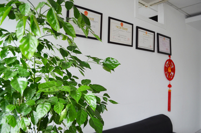 太仓网站建设公司选择太仓泽网网络公司