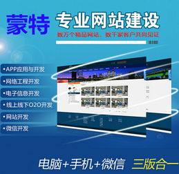 企业专业网站建设费用详解