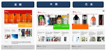跨国公司网站建设 上海的专业选择与实践