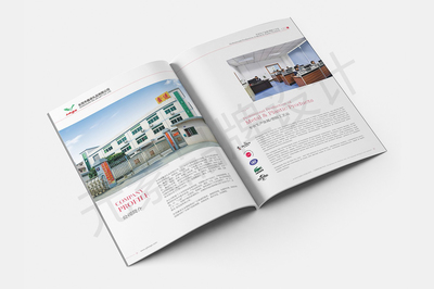 东莞一站式视觉营销服务 画册设计、LOGO设计、网站建设与宣传片拍摄制作全解析